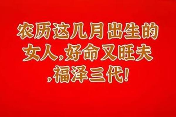 解密命世：算命术中的命运与现实的辩证关系