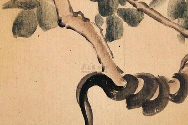 1958年蛇年命运：探寻个性与未来的神秘之旅