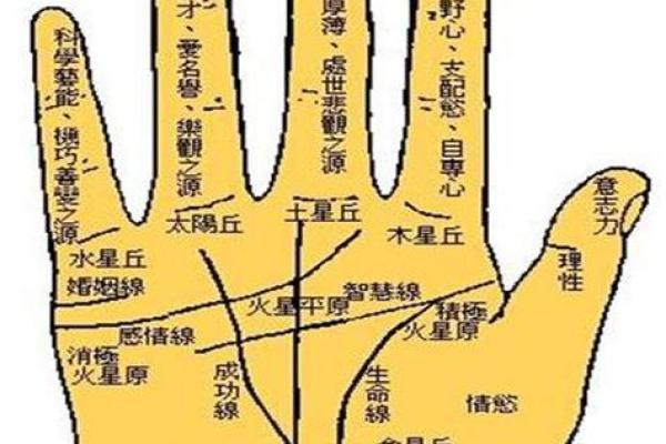 探索算命2000：命运的真谛与启示