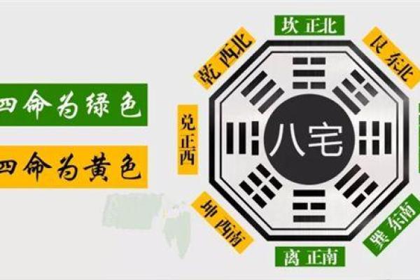 深入探讨坤命与西四命的含义与影响