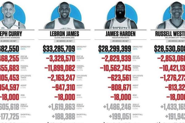 属鸡三合命的命运之路：破解人生的秘密与机遇