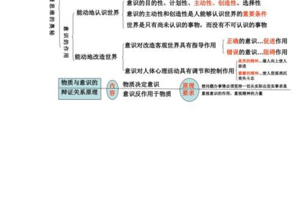 探索命运的奥秘：几命与零命的深刻意义