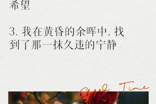 追寻内心的宁静，感受生活的小确幸