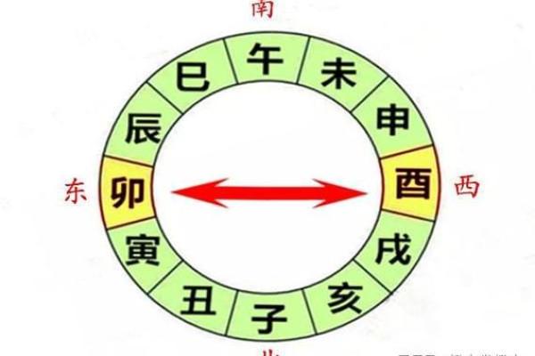 2010年人：命途多舛的生肖与命理解读