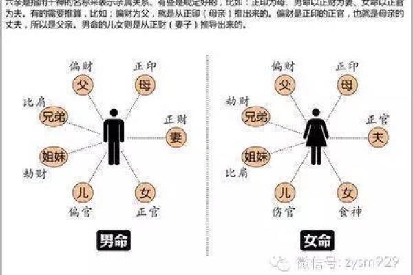 探究官煞劫财在命理学中的奥秘与影响：男女命的差异解析