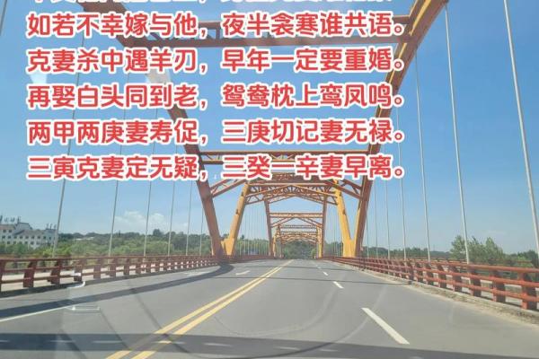 1991年1月9日出生者的命运解析与人生智慧