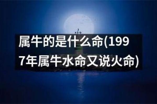 1997年出生的人属牛：性格特点与命运解析