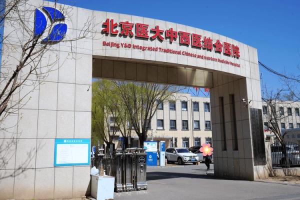 1999年属虎的命运解析：勇气与智慧的结合之路