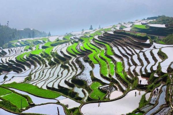 深入解析命与乾坤的寓意，揭示生肖的神秘世界