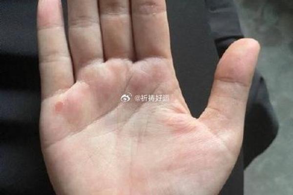 三元命艮宫：命理中的山脉之象，探秘命运密码