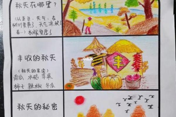 秋意渐浓：探寻秋天赋予我们的生命启示