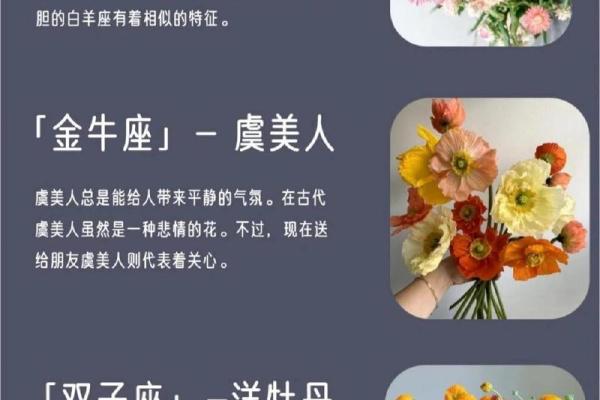 限命与年命的奥秘：探讨命理学中的深层区别