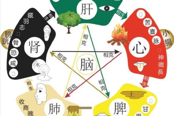 相生相克：召榴木命与最佳命理搭配解析