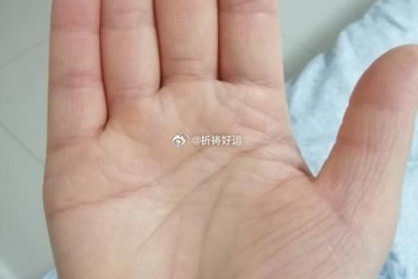 解读19910520的命运密码：一个生命的旅程与启示