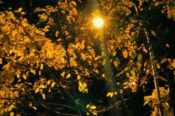 2017年命运解析：20127年的奇妙命数与人生启示