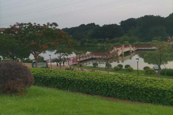 以命换命的悖论：为何这种选择看似美好却不容小觑？