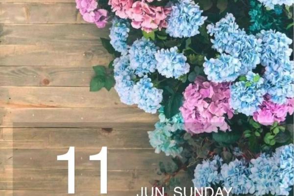 1973年出生的牛年命运解析：如何把握人生与机遇？