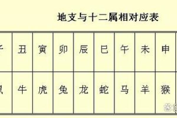1960年的属相与命理解析：揭秘属于你的命运之路