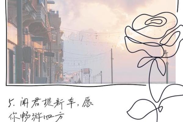 财多女命如何选择合适男命，开启幸福之旅