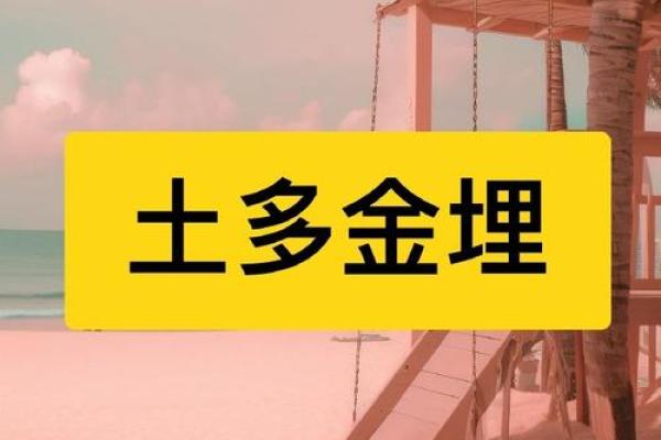 寻找命理中的平衡：剑锋金命的最佳配命解析