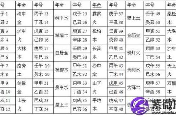 寻找命理中的平衡：剑锋金命的最佳配命解析