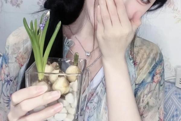 命里缺木的女人：探寻她们的命运与生活智慧