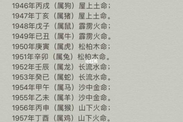 属猪火命：适合从事的行业与发展方向分析