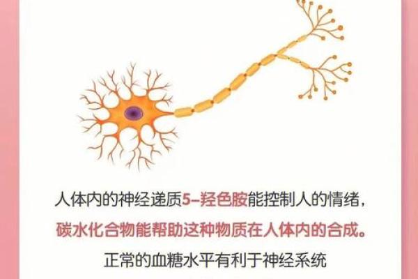 如何判断自己的命是什么命?探索命运的奥秘与自我认知 如何判断自己的命是什么命?探索命运的奥秘与自我认知