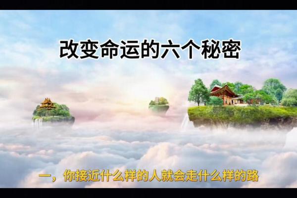 2002年出生命运解析：探索未来的秘密与希望