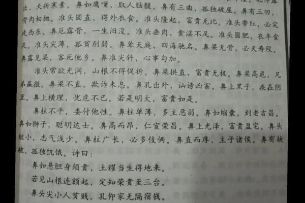 2022兔年运势与命理解析：如何把握自己的命运与未来