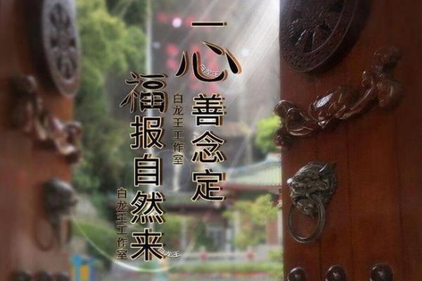 探寻2001年命理之旅：解密你的命运与人生