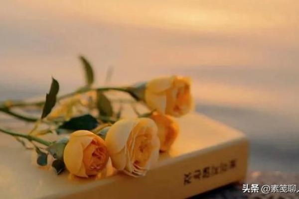 92年属猴,聪明灵活的命运解析与人生指南 92年属猴,聪明灵活的命运解析与人生指南