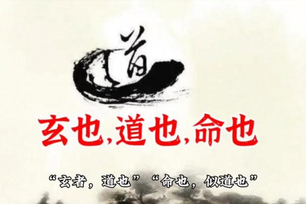 有什么性就有什么命:探寻生活中的种种命运之道 有什么性就有什么命:探寻生活中的种种命运之道