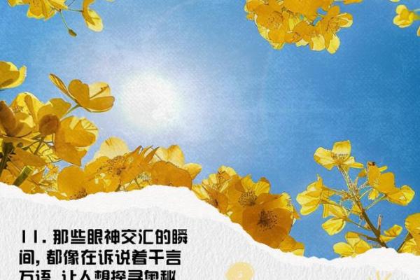 探秘七两三命：命运背后的智慧与奥秘