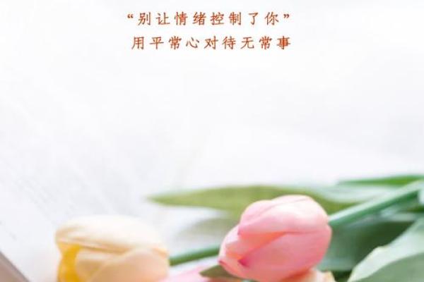 命运之轮：当我们无法逃脱人生的安排时，如何找到内心的自由？