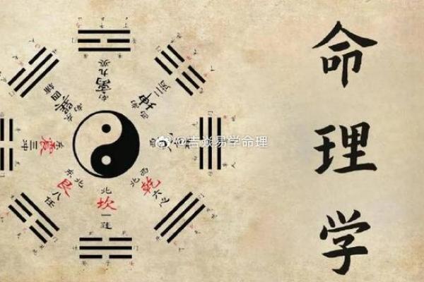 扁平头型与命格的关系探秘：你不可不知的命理知识！