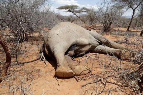 探索命运的多样性：从“命什么多什么”谈人生