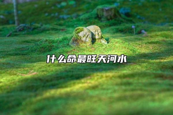 霹雳火命与和谐命的美好婚配探讨