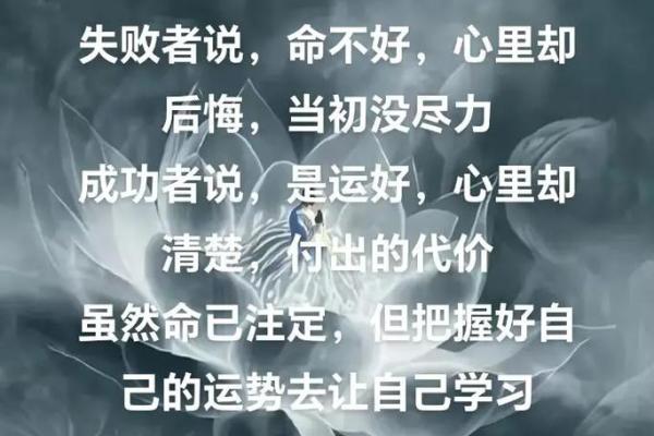 命与运：探讨人生旅途的双重引导之力