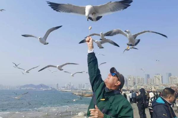 2020年金命解析：如何在金光闪闪的时代中蓬勃发展