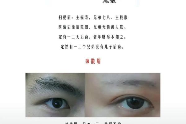 己酉时大驿土命：探索命理中的独特性与人生智慧