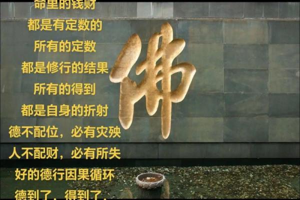 贵命与上等命的奥秘:你知道它们有什么区别吗? 贵命与上等命的奥秘:你知道它们有什么区别吗?