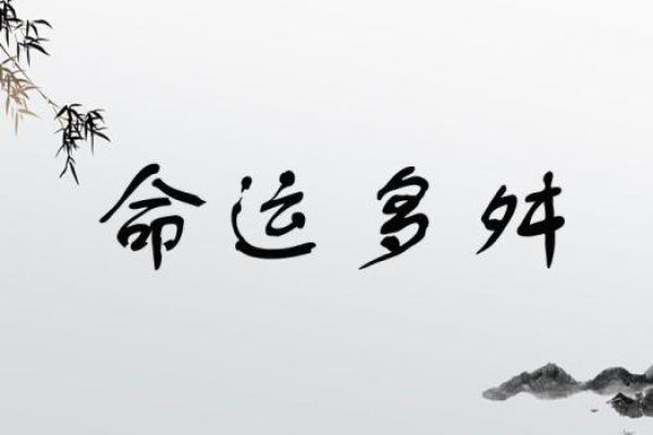 探索命运与机遇的交汇:成语背后的智慧与启示 探索命运与机遇的交汇:成语背后的智慧与启示
