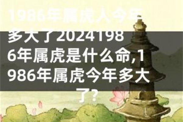1962年老虎年出生的命运与性格解析