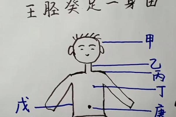 应龙之命男命格：命理中的神秘与智慧探讨