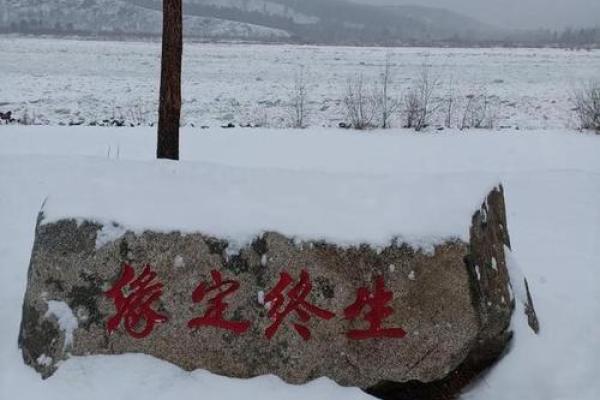 土命与金命的相克关系解析：命理中的平衡与和谐