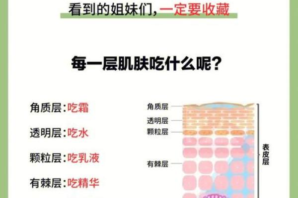 20010127是什么命？探索命理的奥秘与个人发展