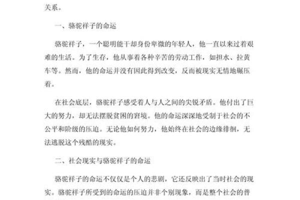 1994年出生的生肖：聪慧与机遇并存的命运探索