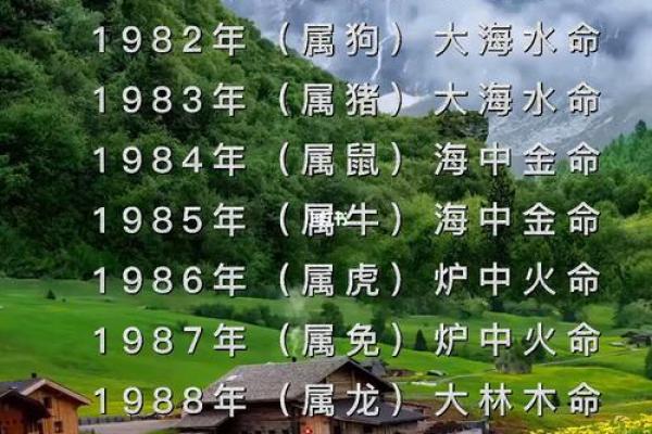 龙虎命格：探秘五行之中的神秘属性与人生运势