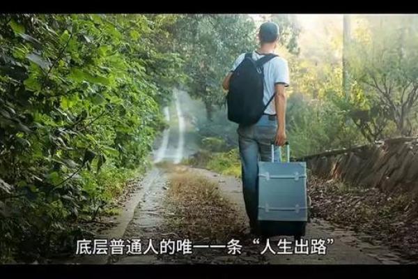 癸未年甲寅月命理解析：探寻人生的出路与机遇
